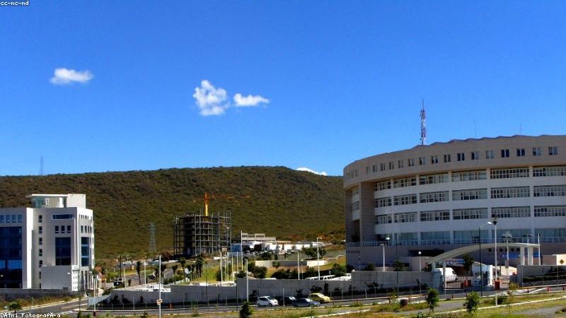 91 漫画平台首页阅读界面展示